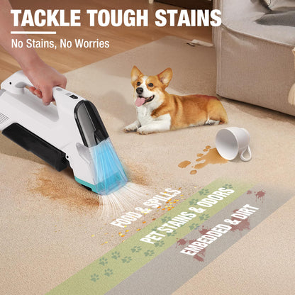 HAUSHOF 12V Cordless Handheld Carpet Cleaner, 6.5KPa Suction
