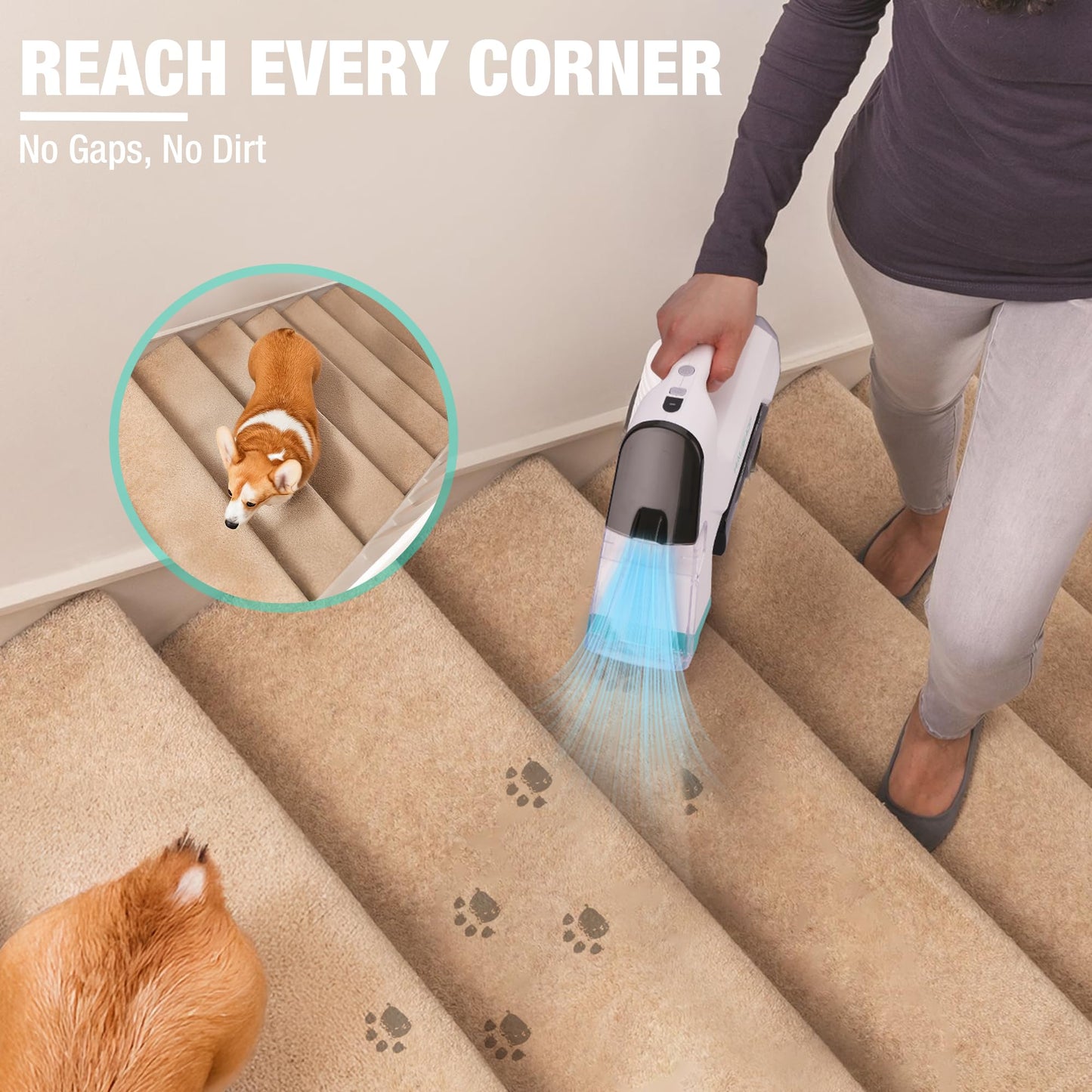 HAUSHOF 12V Cordless Handheld Carpet Cleaner, 6.5KPa Suction